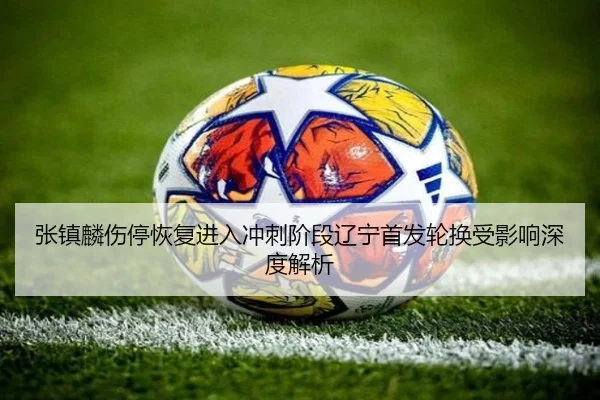 张镇麟伤停恢复进入冲刺阶段辽宁首发轮换受影响深度解析